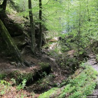fuxi_03