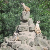jaderpark_03