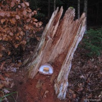 krippenweg_gschwend_06