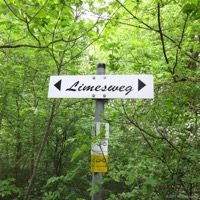 limes_moegg_01