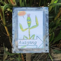 maislabyrinth_osnabrueck_07