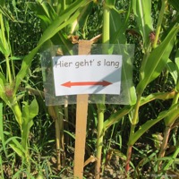 maiylabyrinth_alfdorf_05
