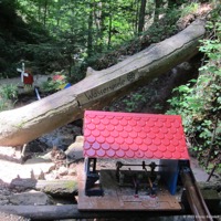 schelmenklinge_01