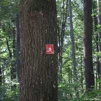 waldfee_rudersberg_02
