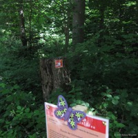 waldfee_rudersberg_06